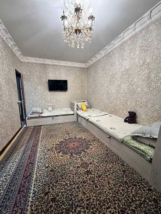 Кара камыш  2.4   2/1/4   чистый