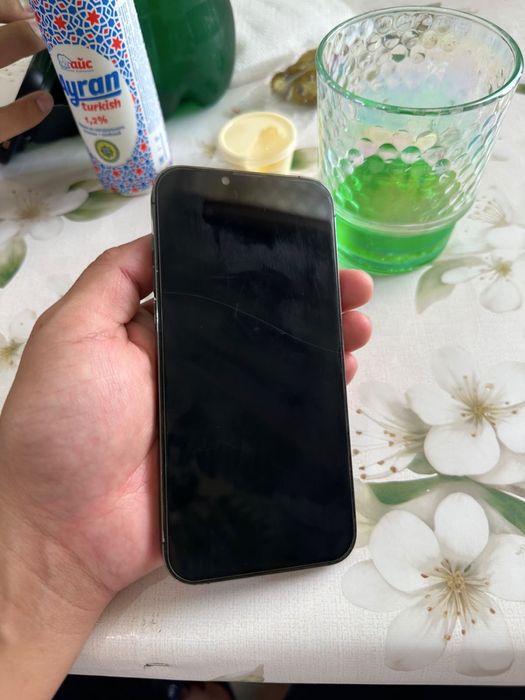 Iphone 13 pro max