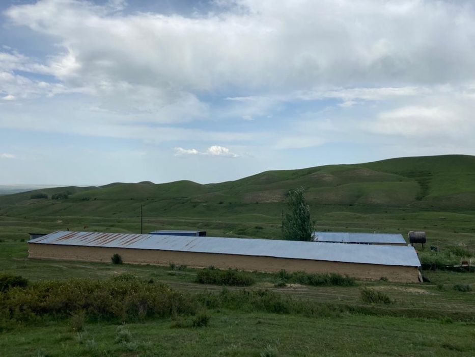 Фазенда, Кашар, Хозяйство