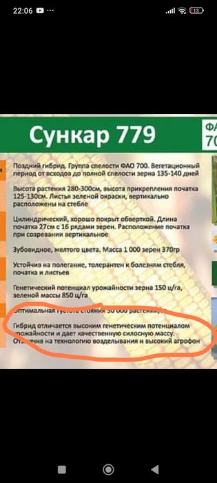 Семёна кукурузы Арман 689 и Сункар 779