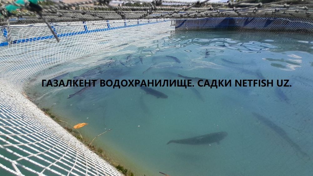 Садок для разведение рыбы. Спорт и строительная сетки