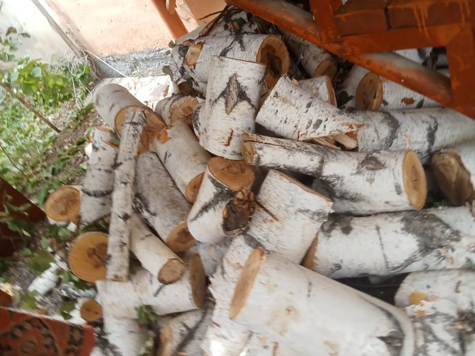 продам дрова для бани береза