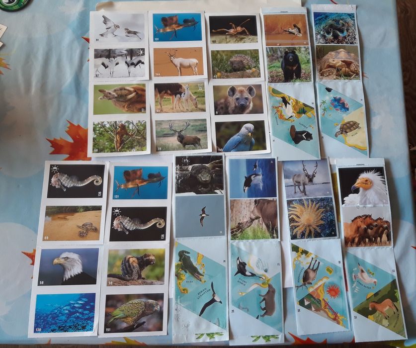 Стикери на Billa