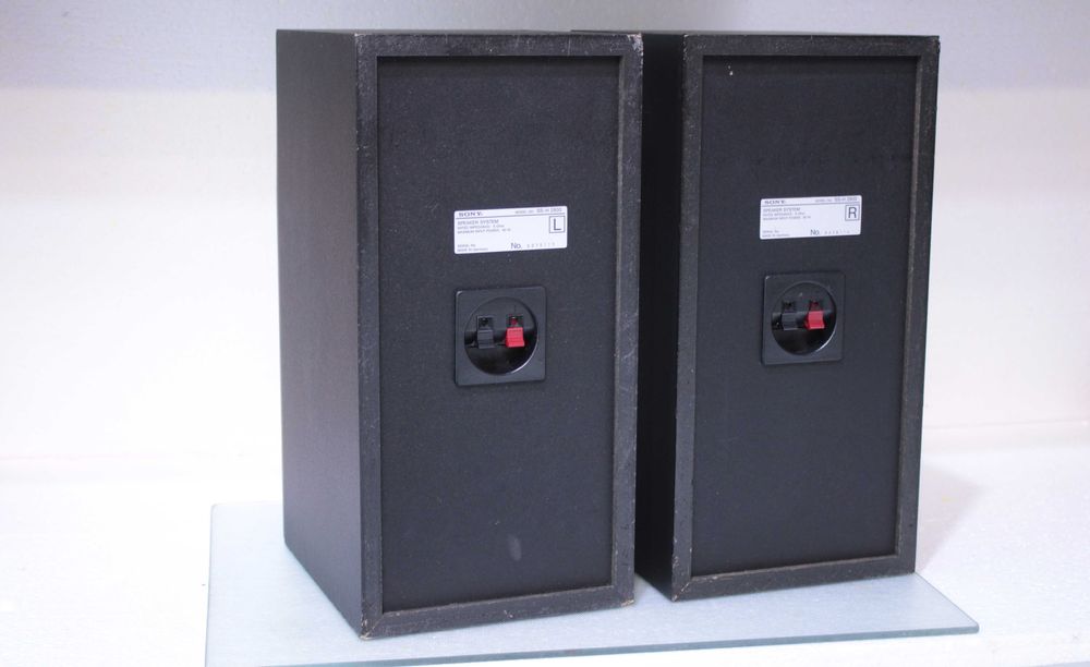 Boxe raft Sony,2x80W,6Ohm.