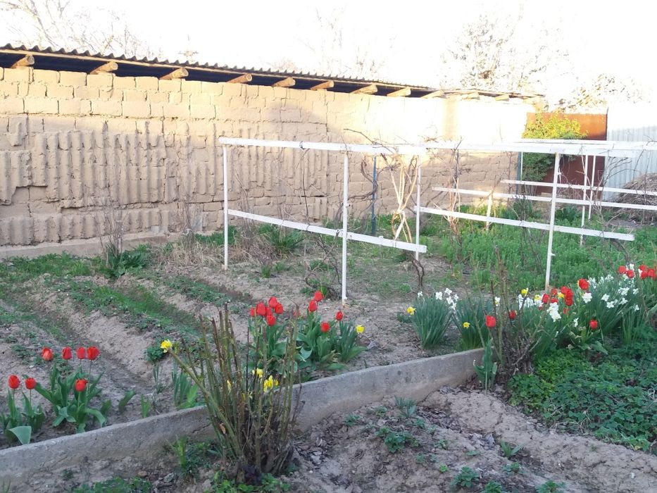 Продам дом на дачном посёлке Кайнар Булак