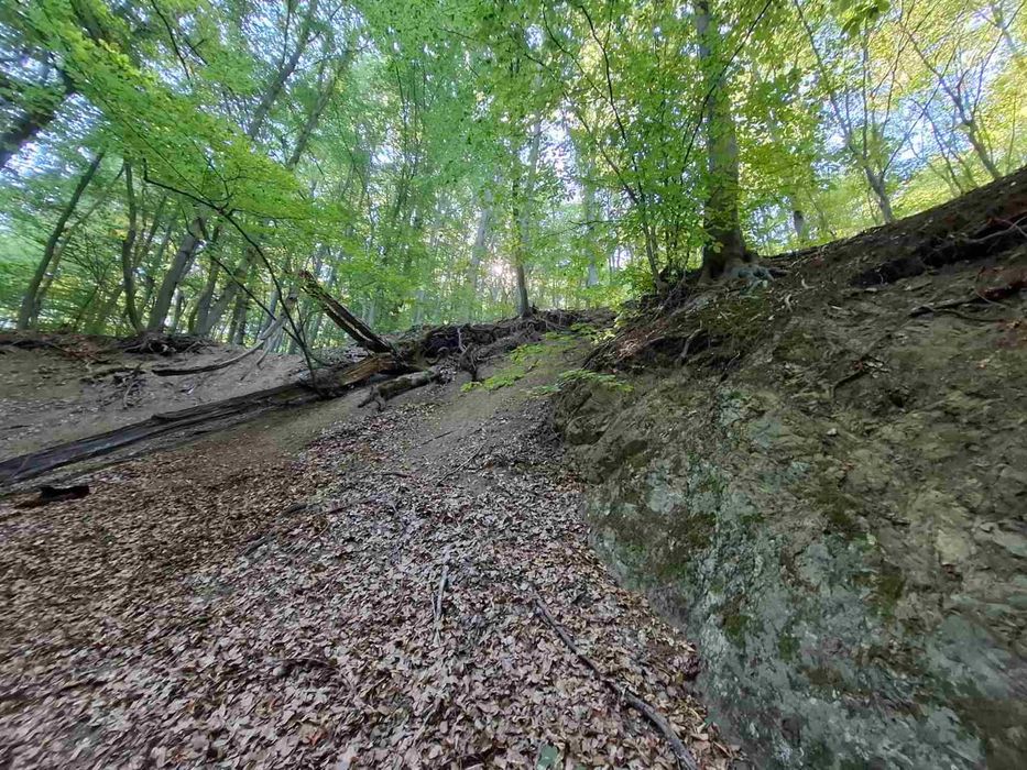 Продава се Парцел в София, 7-ми 11-ти километър - 1200 кв.м за 8 €/кв.м - Снимка #4