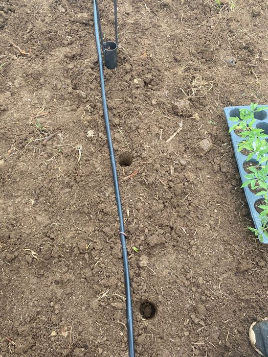 Садило за разсад