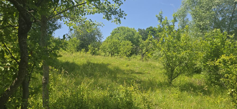 Vand/schimb garsoniera Ploiești  teren Sotrile 2237mp.