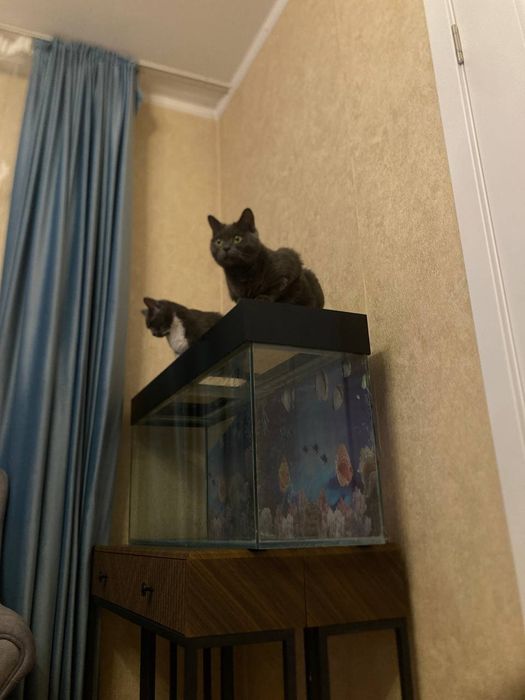 Продам аквариум 150л