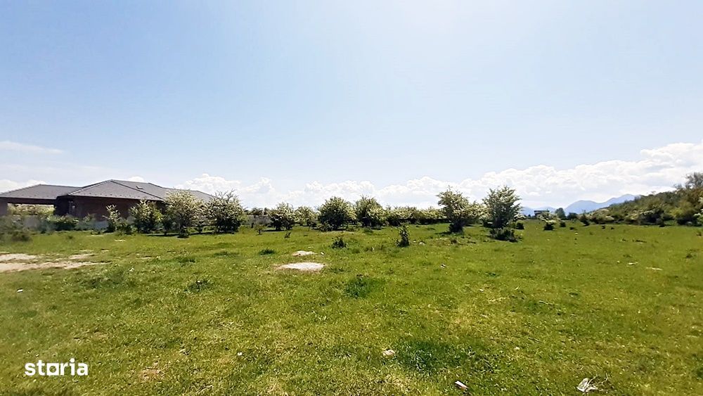 Sanpetru teren pentru dezvoltare imobiliara 4318mp, 55 euro/mp
