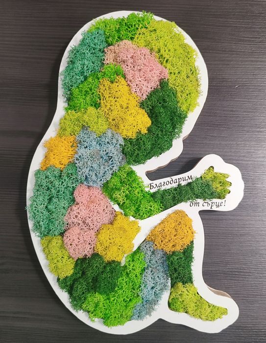 Пана със скандинавски мъх