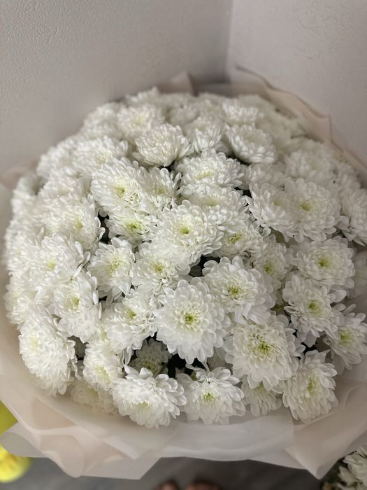 Цветы 101 шт белые хризантемы