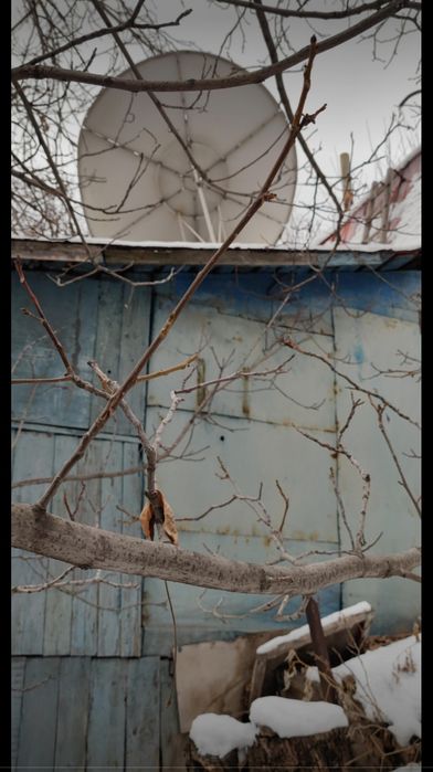 Участок 7,5 соток дача