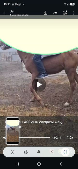 Сатылады баға 400мын саудасы жоқ