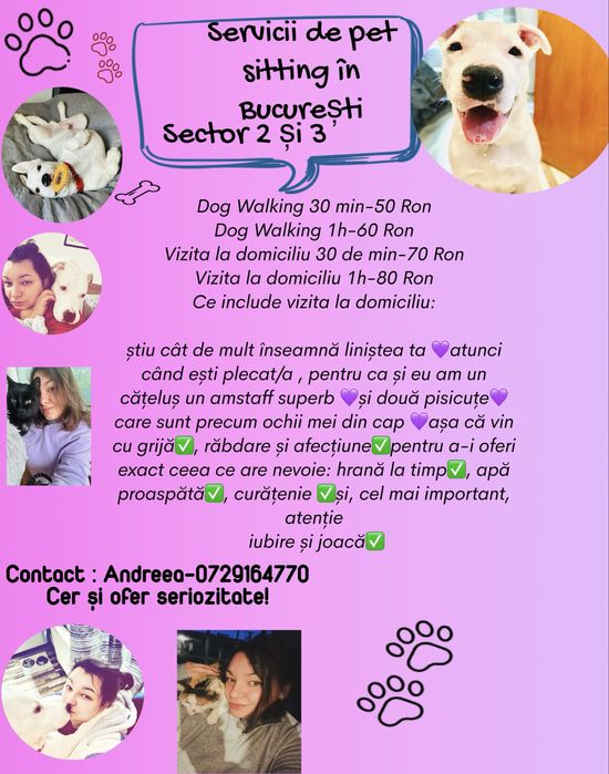 Pet sitter cu experienta  Bucuresti