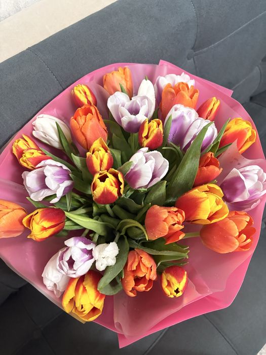 Гүл, Цветы, Тюльпаны 31штук Келісеміз