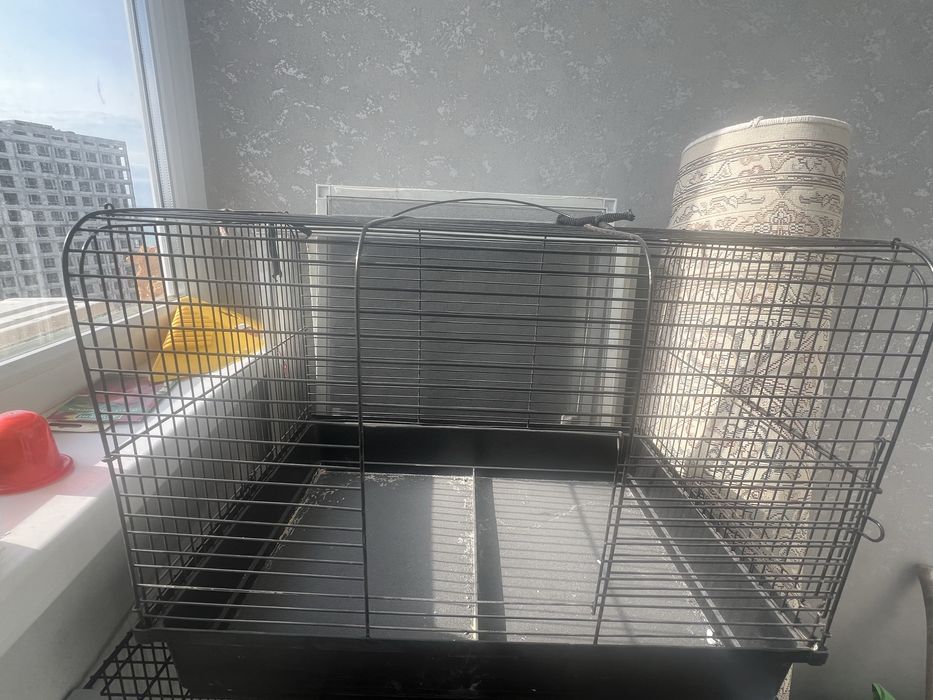 Две клетки (по отдельности)