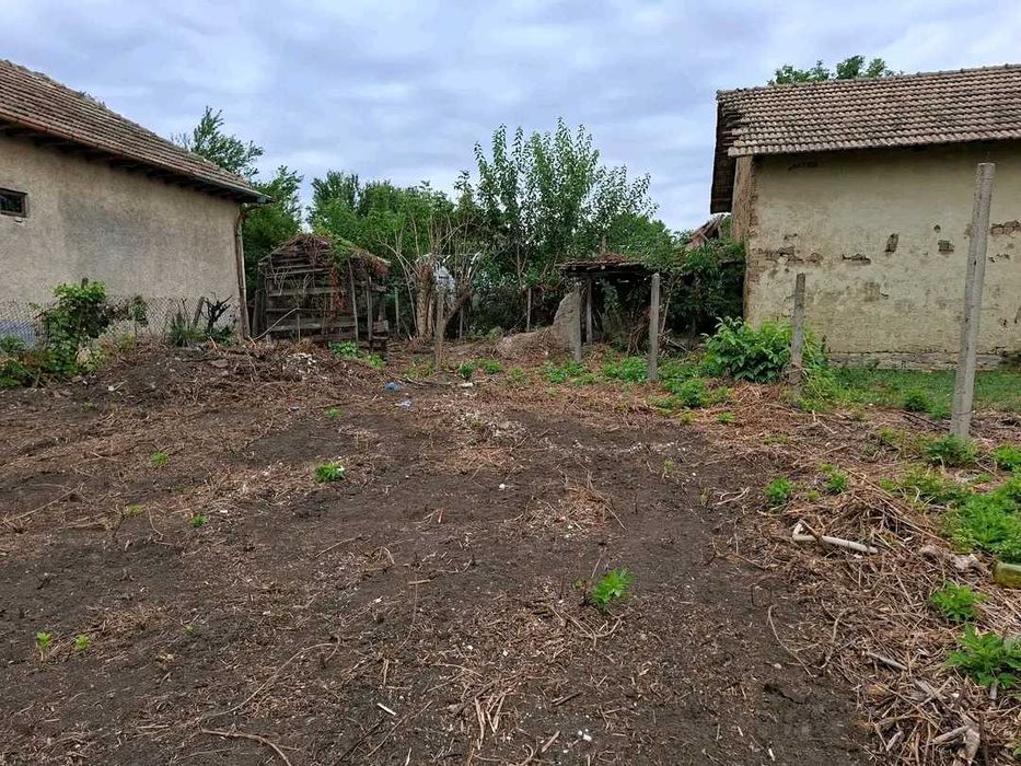 Разчистване на  запустели Къщи и Дворове