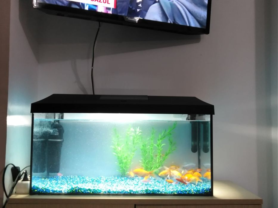 De vânzare acvariu filtru lampa