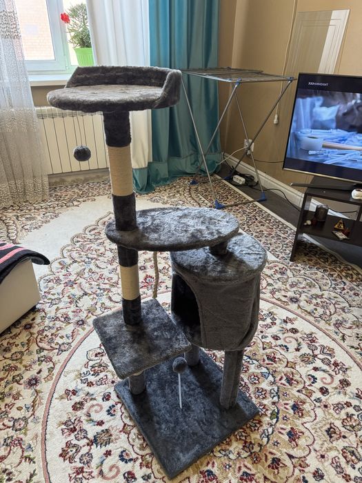 Коготочки за 18000 тенге