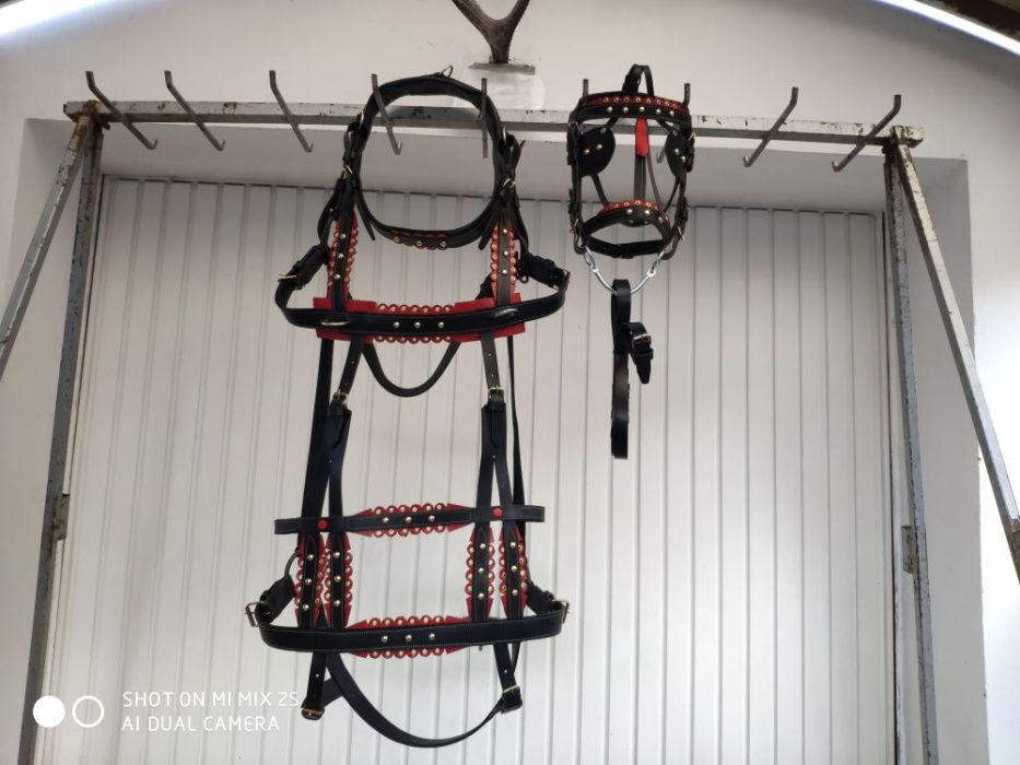 set-global PONEI/MAGAR | ham + capici + zabala + haturi ⟣GARANTIE ⁴⁸