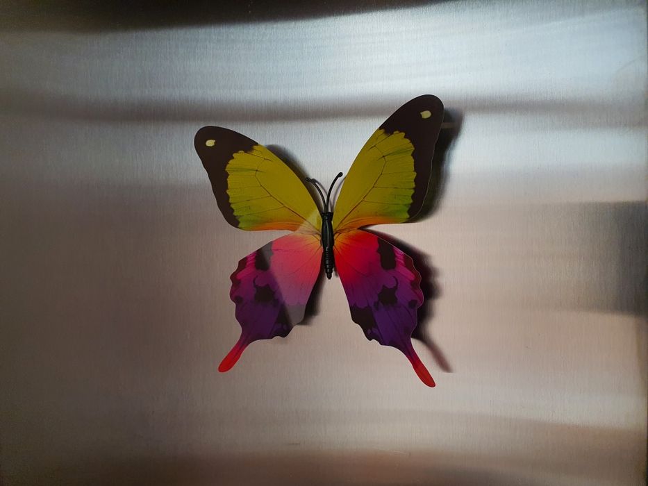 Магниты Бабочки 2шт.