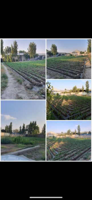 Yer uchaskasi sotilad