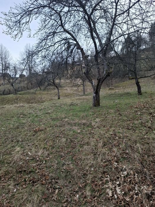 Vând pământ la Valea VISEULUI jud  MARAMUREȘ