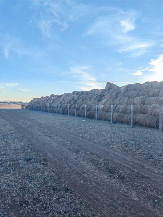 Продам сено с доставкой