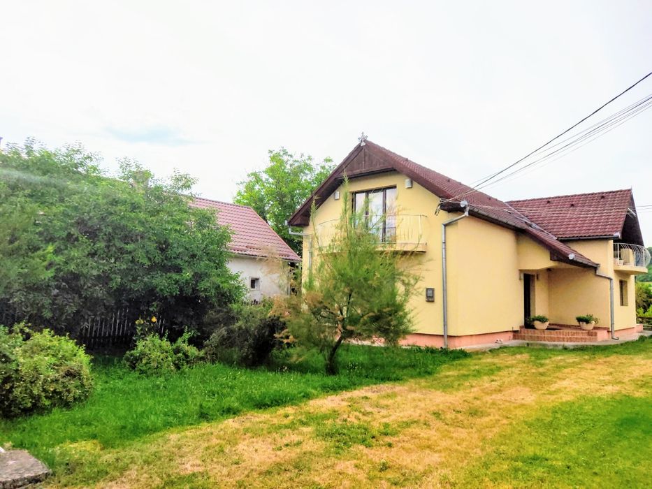 Proprietate 2 case + 1 ha teren Șintereag