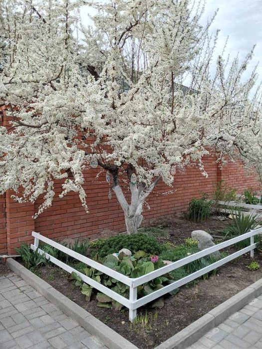 Продаётся дом в посёлке "Арман" (район ГРЭССа)