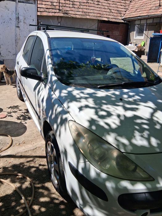 Vand Peugeot 307