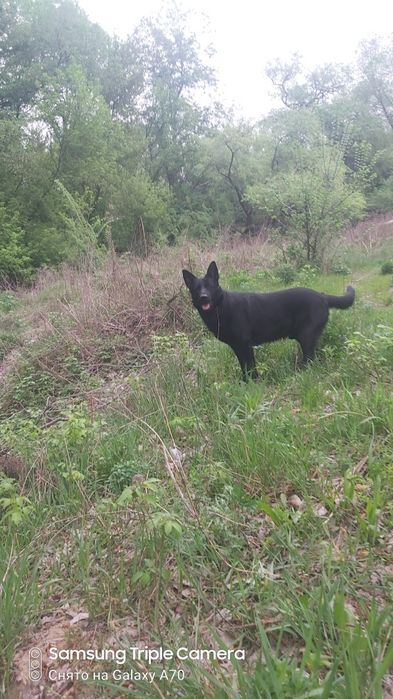 Вязка. Принц ищет принцессу