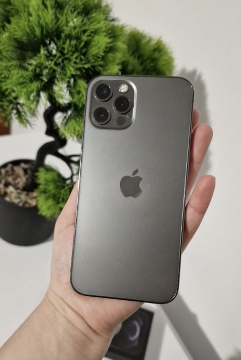 Iphone 12 Pro 256Gb 100%