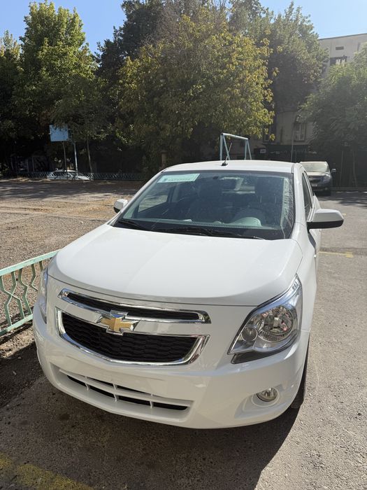 Cobalt at plus style