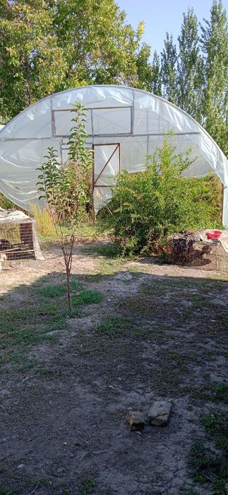 Yer sotiladi maxalla ichida uylar bor yon atrofda