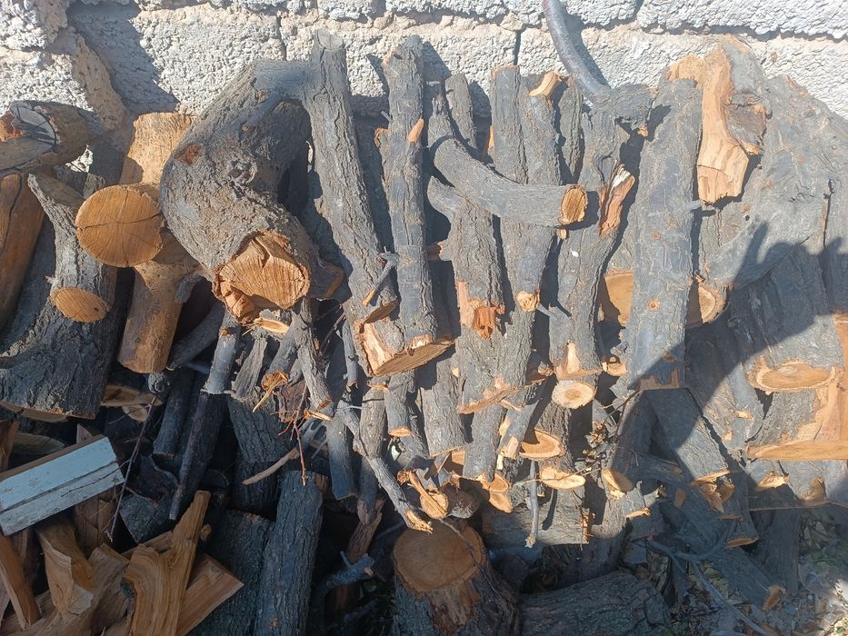 Пеньки, двова, ветки. (Урюк). Новый