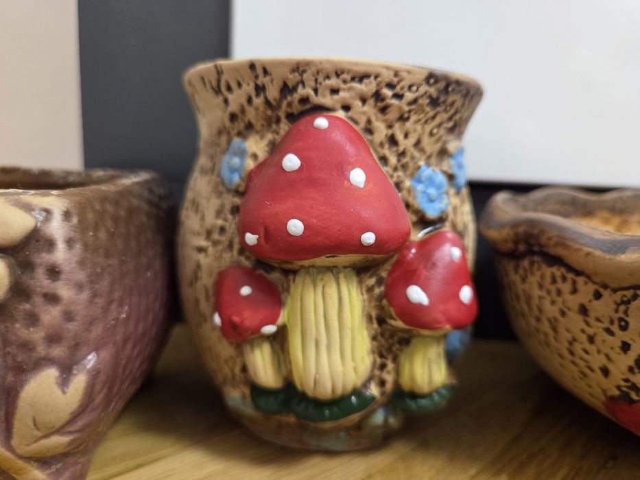 5 ghivece pentru plante mici