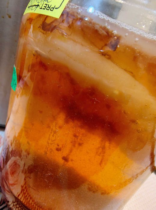 Chefir de lapte ciuperca tibetană kefir apa Kombucha