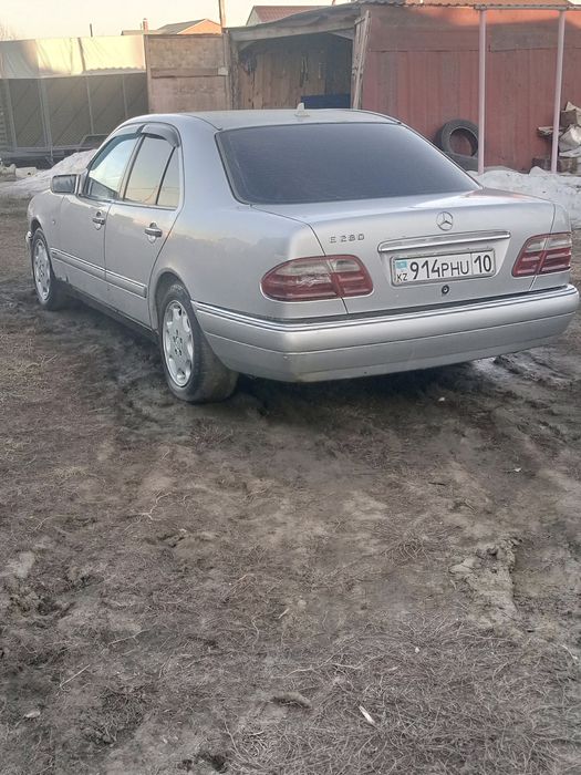 Хорошие     бычки.