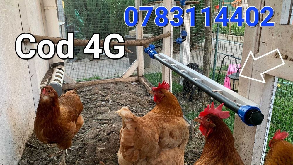 Niplu Alama adapatori pui gaini rate prepelite fazani gaste pasari- 4G