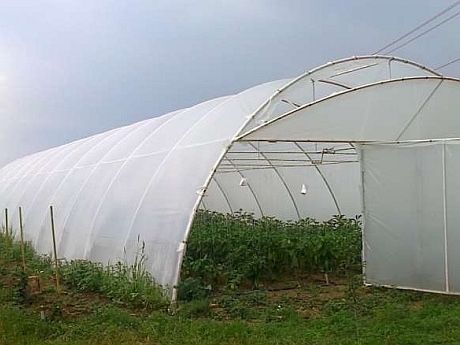 Folie SOLAR 180microni Durata de viata 5-7ani, 10x27m-1055 lei