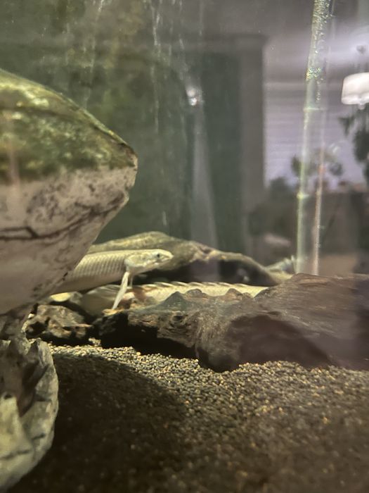 Продам аквариум 330 литров