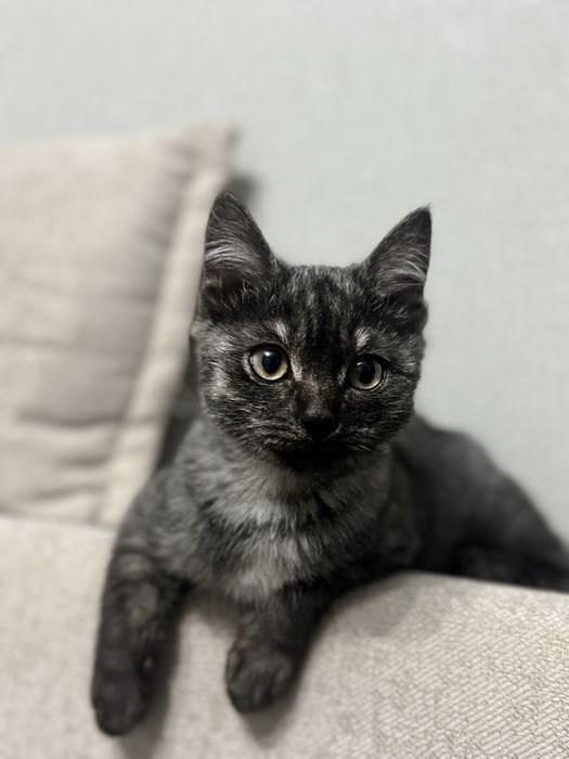 В любящие руки девочка