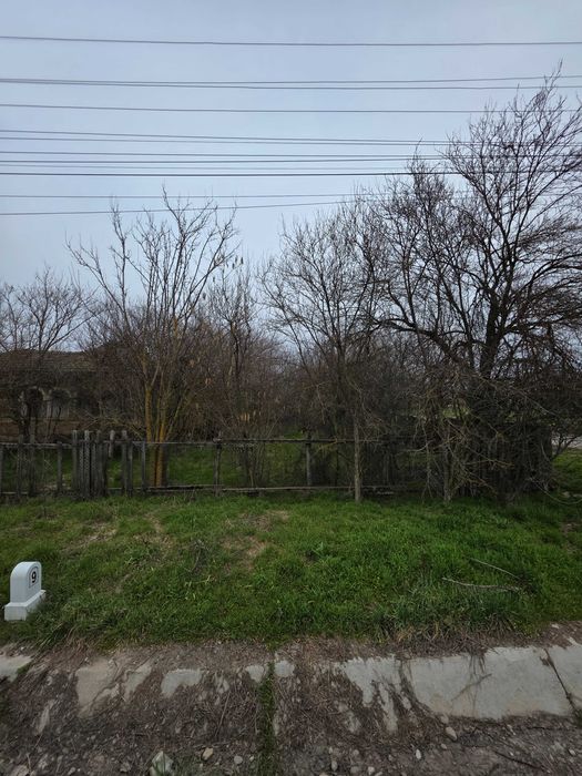 Teren 5000mp intravilan + casa veche | Curcani - Calarasi | 50km Buc
