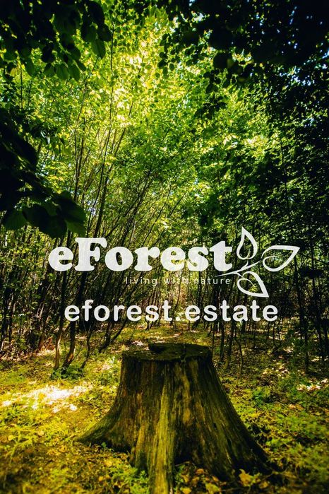Loturi de la 720 mp, intre 2 paduri, eForest, acces asfaltat din DN1A