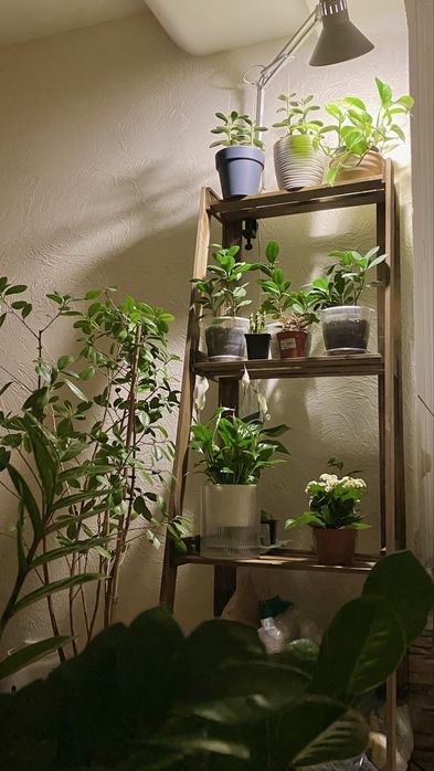 Стрллаж деревянный, подставка напольная, этажерка