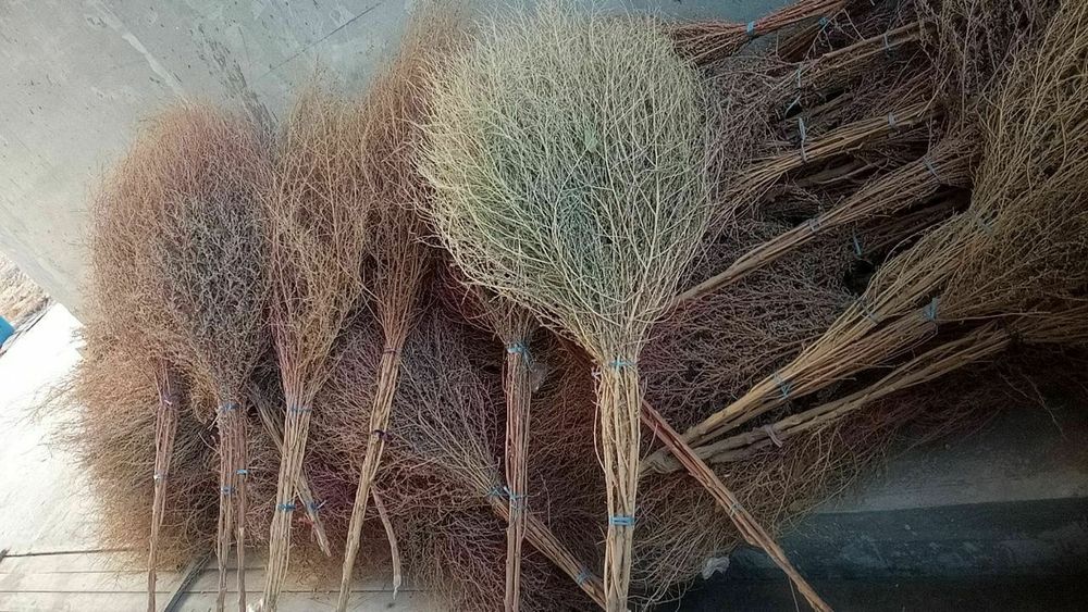 Веник Brooms сорго