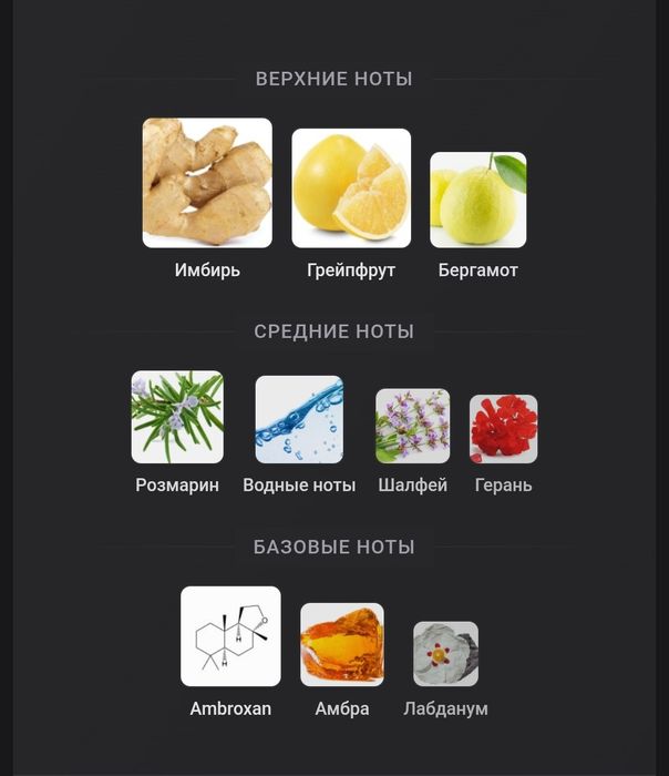 Парфюм Jean lowe immortel 100мл