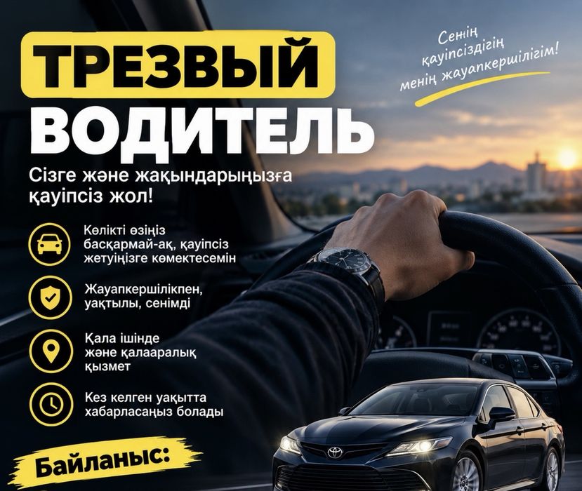 Трезвый водитель